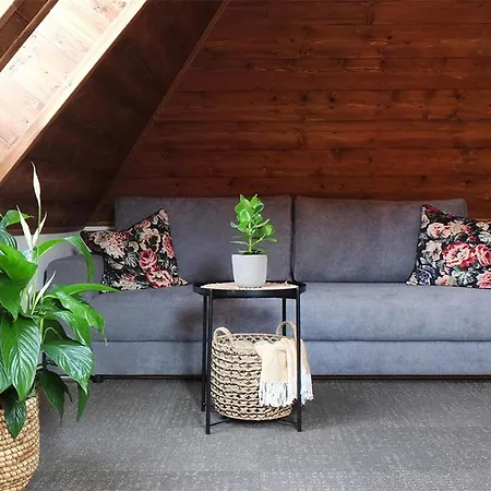 招待所 U Sysla Muran